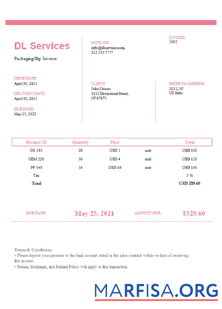 Printable USA DL Services invoice example